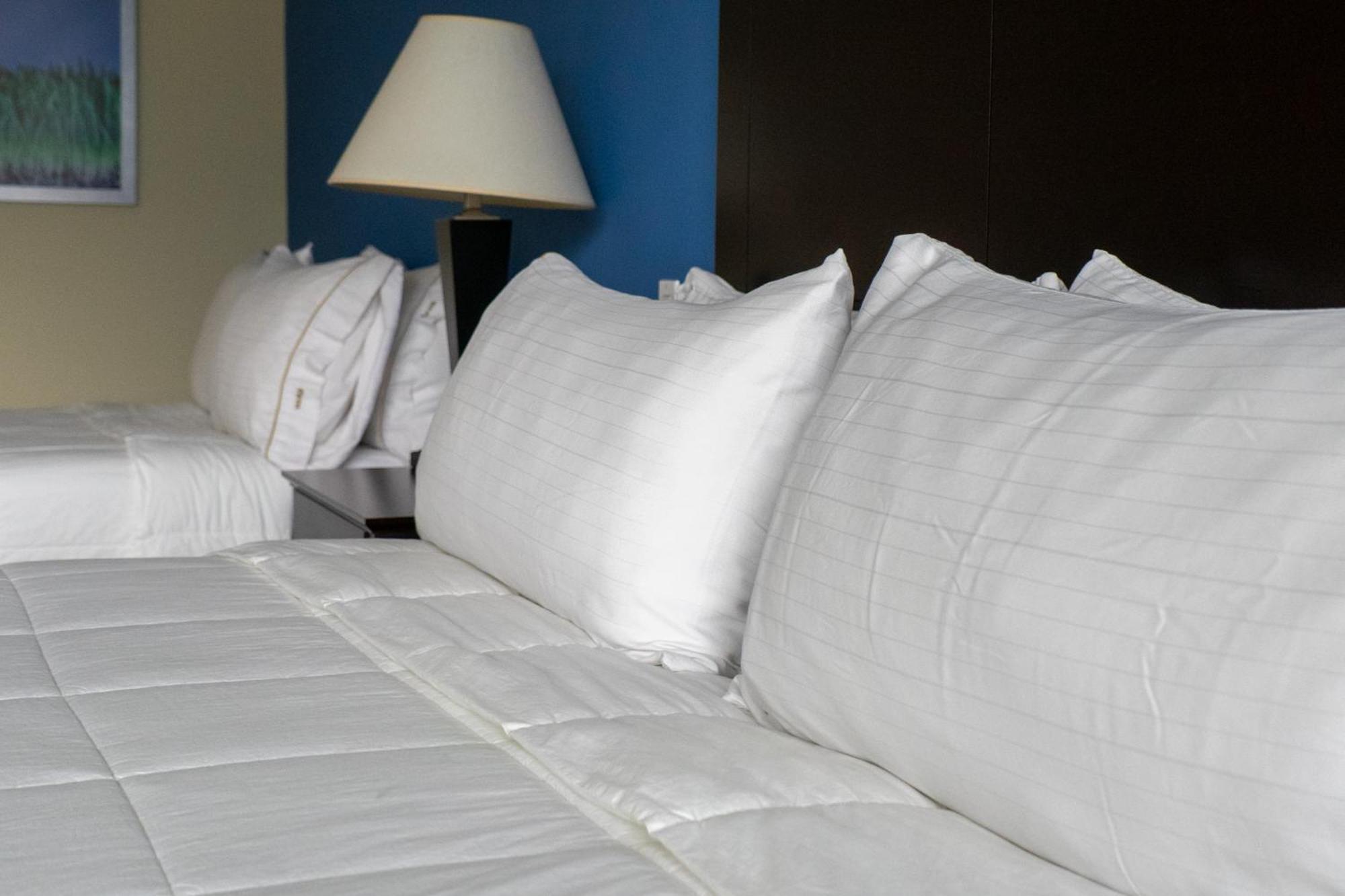 Intercity Hotels סן פדרו סולה מראה חיצוני תמונה
